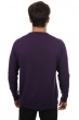 Baby Alpakawolle kaschmir pullover herren nestor alpa violett 4xl